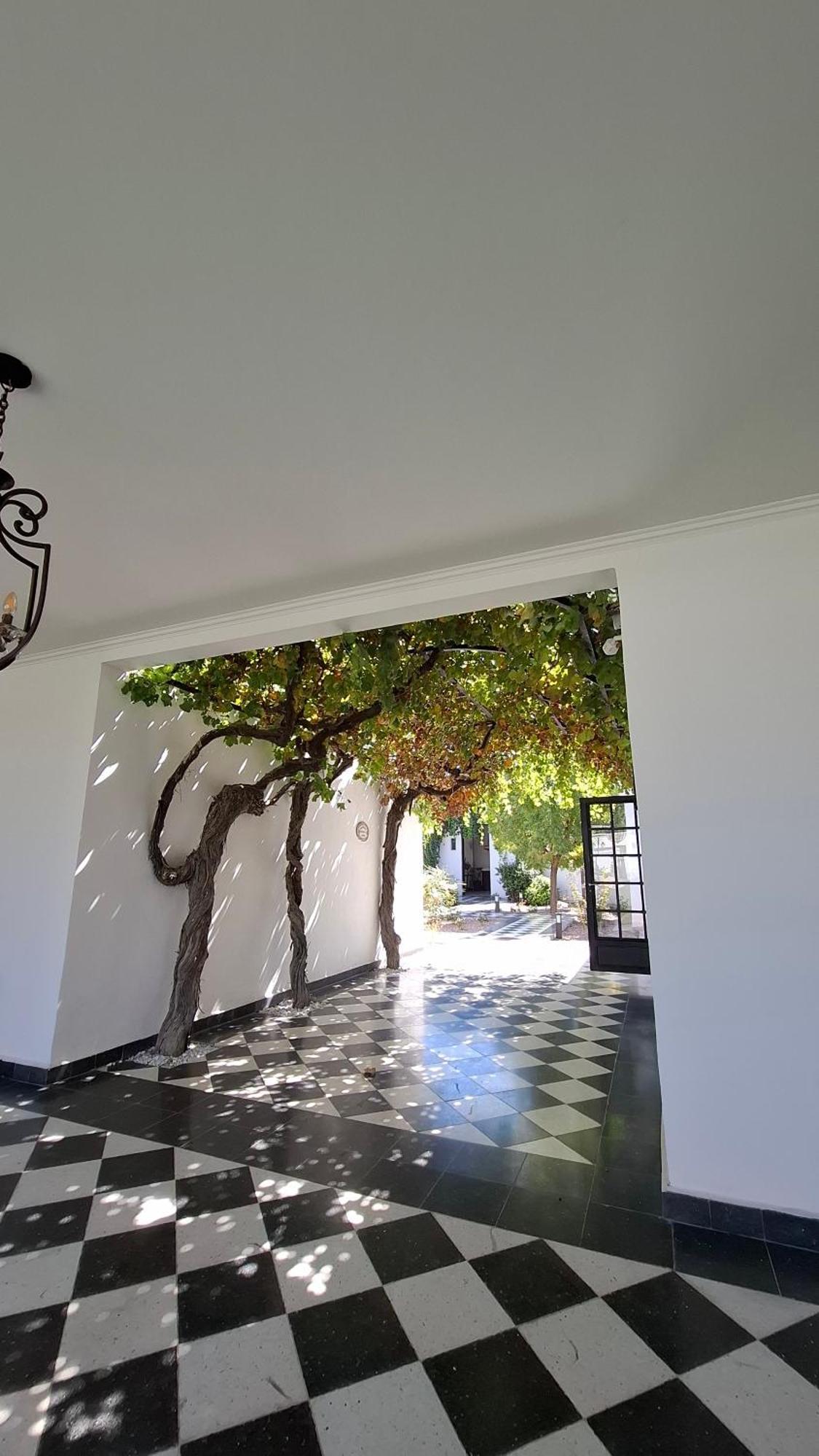 Viamonte Winery Lodge Chacras de Coria Eksteriør billede